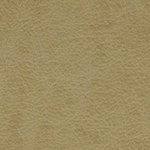 Premium Leather Cappucino.jpg
